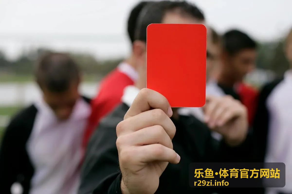 乐鱼·体育官方网站核心数据服务图示
